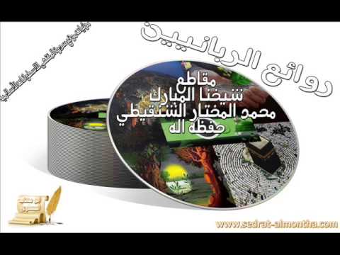 هل الإستمناء من الكبائر ؟ الشيخ الشنقيطي