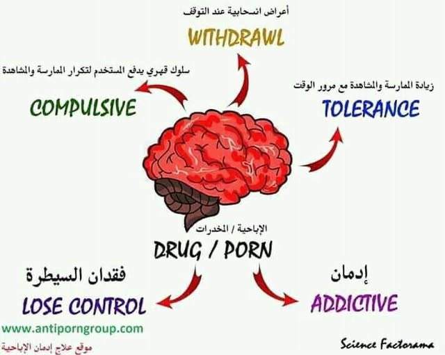 الإباحية تغير الدماغ